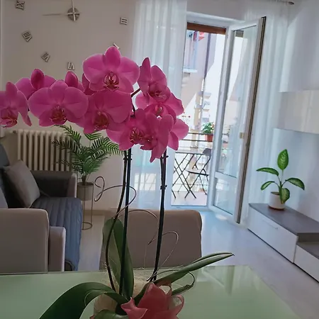 Apartment Jessy Baveno Exterior photo