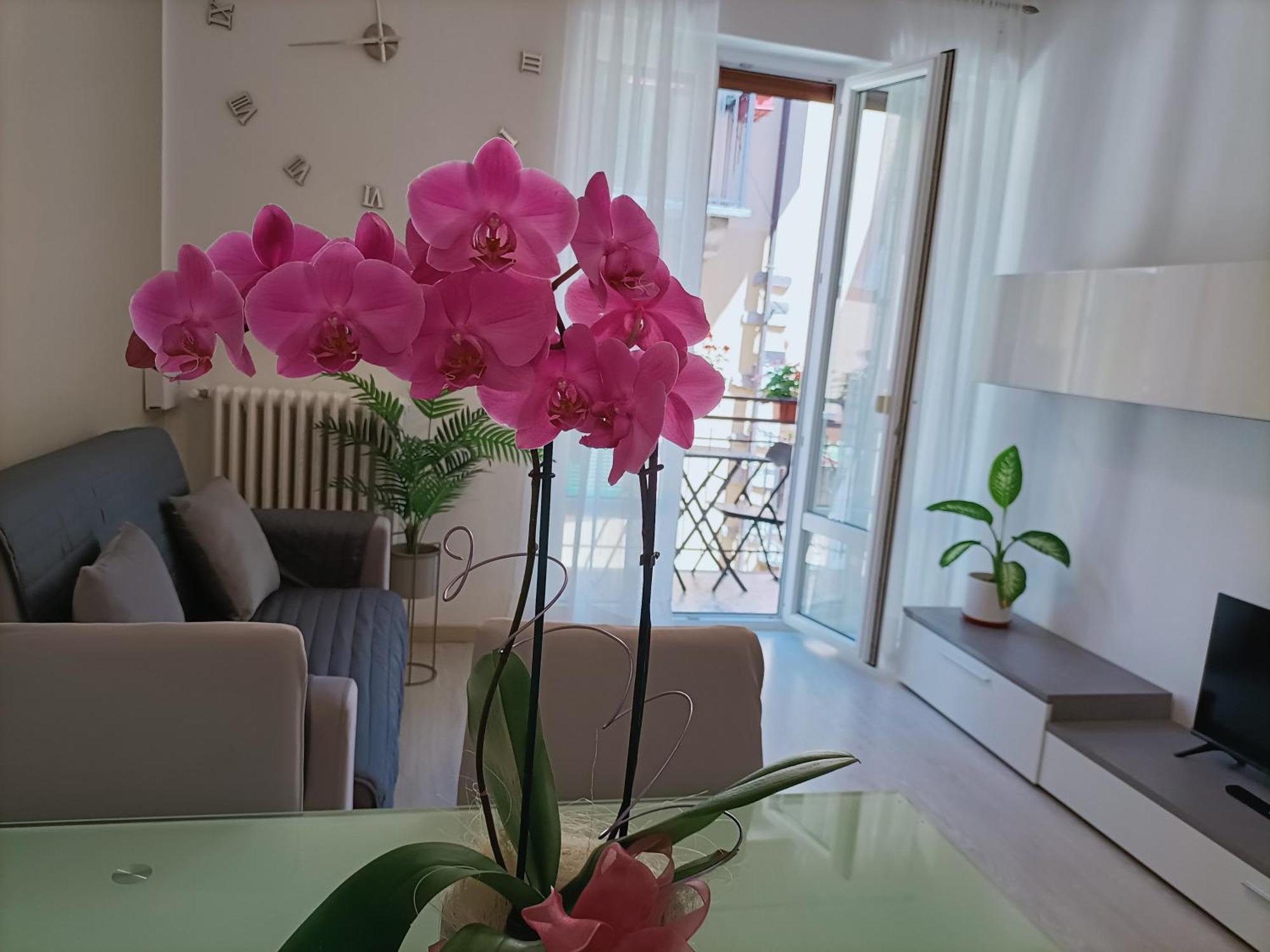Jessy Apartment *
